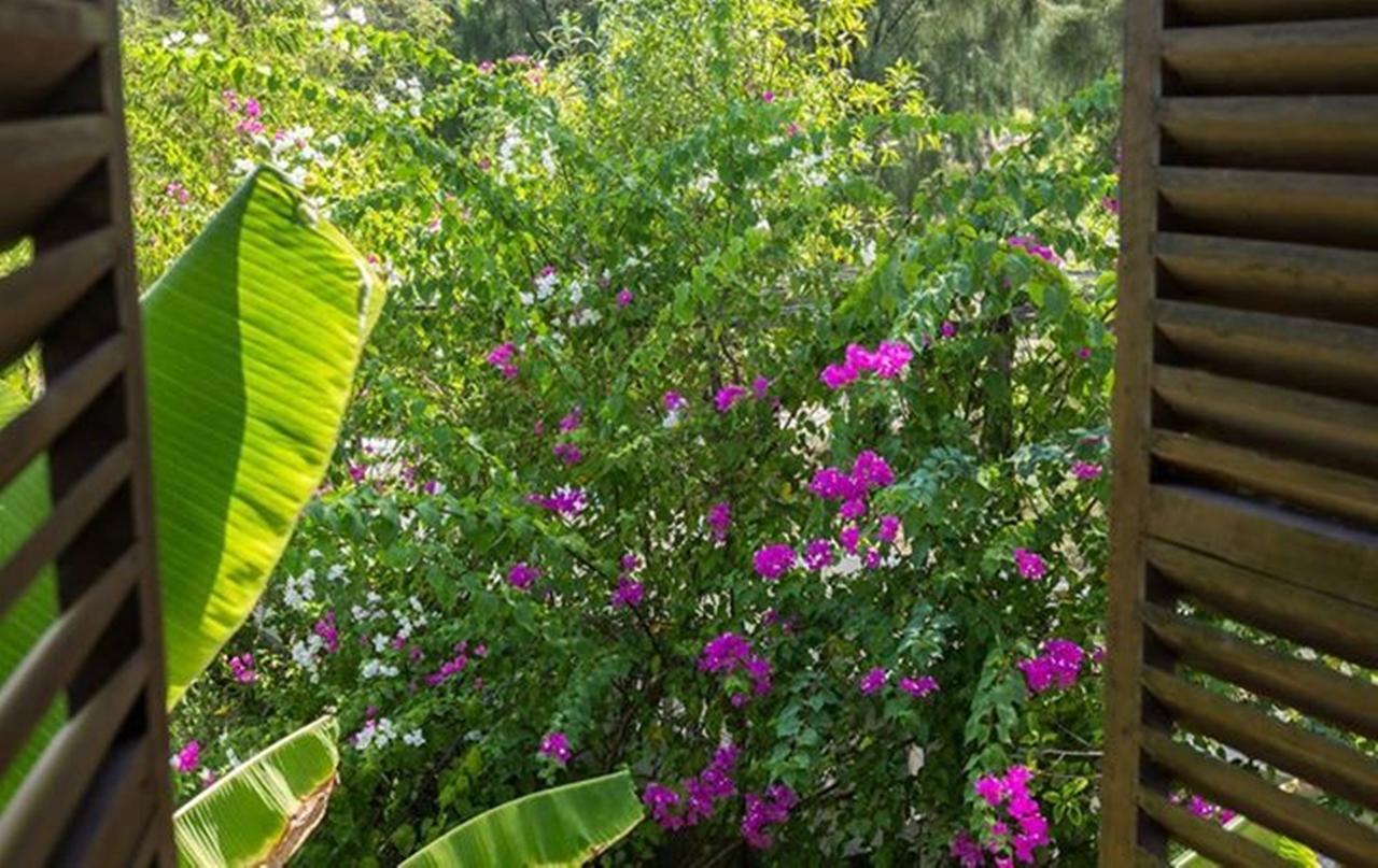 Villa Louise Hue Beach Boutique Hotel מראה חיצוני תמונה